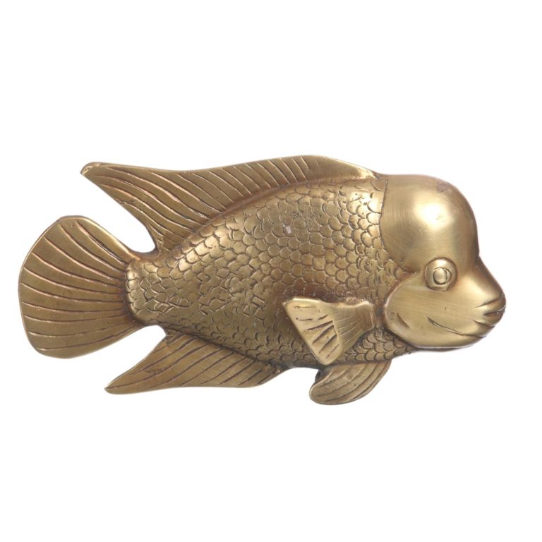 Рыбки Красного моря